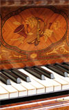 inlaid 