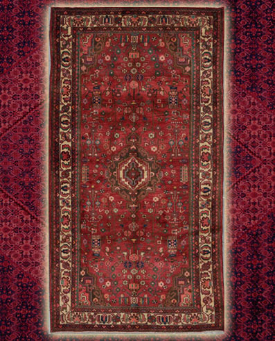 Touserkan 4 ft. 9 by 9 ft